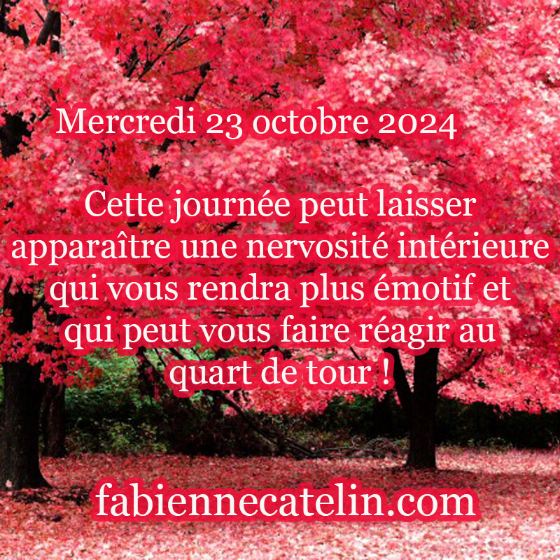 3 23 octobre 2024