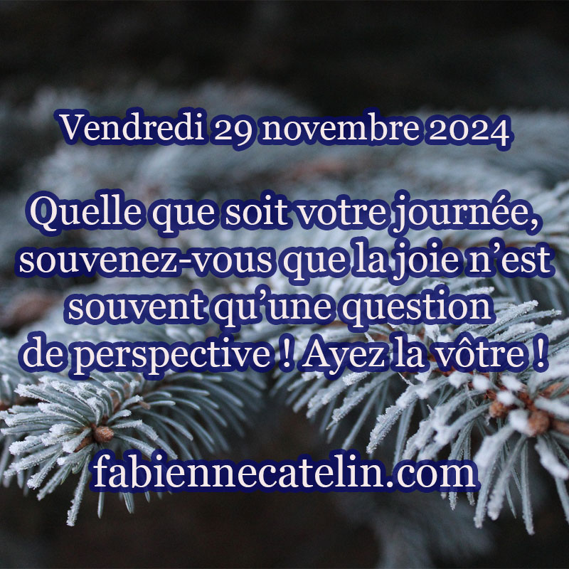 5 29 novembre 2024