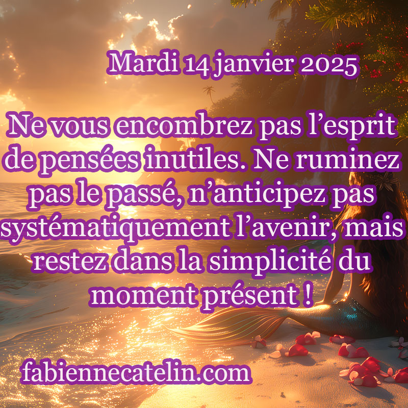 2 14 janvier 2025