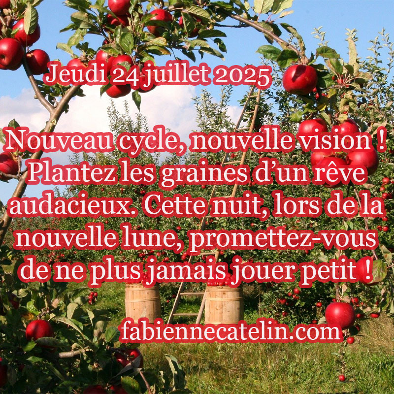 4 24 juillet 2025