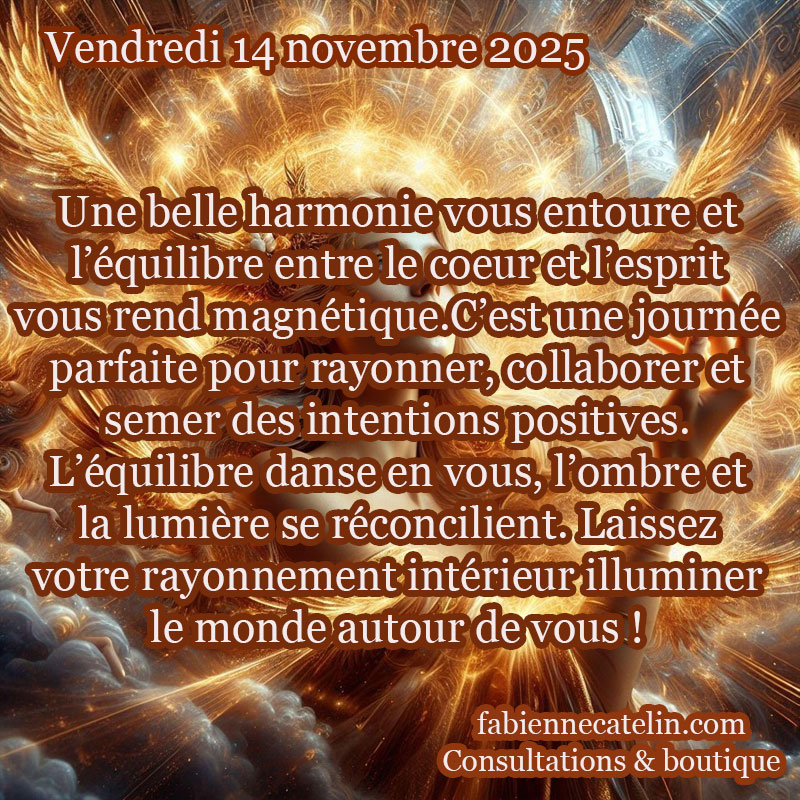 5 14 novembre 2025