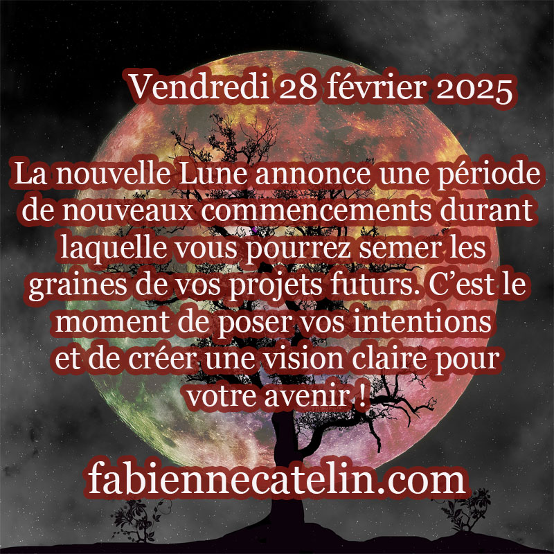 5 28 fevrier 2025