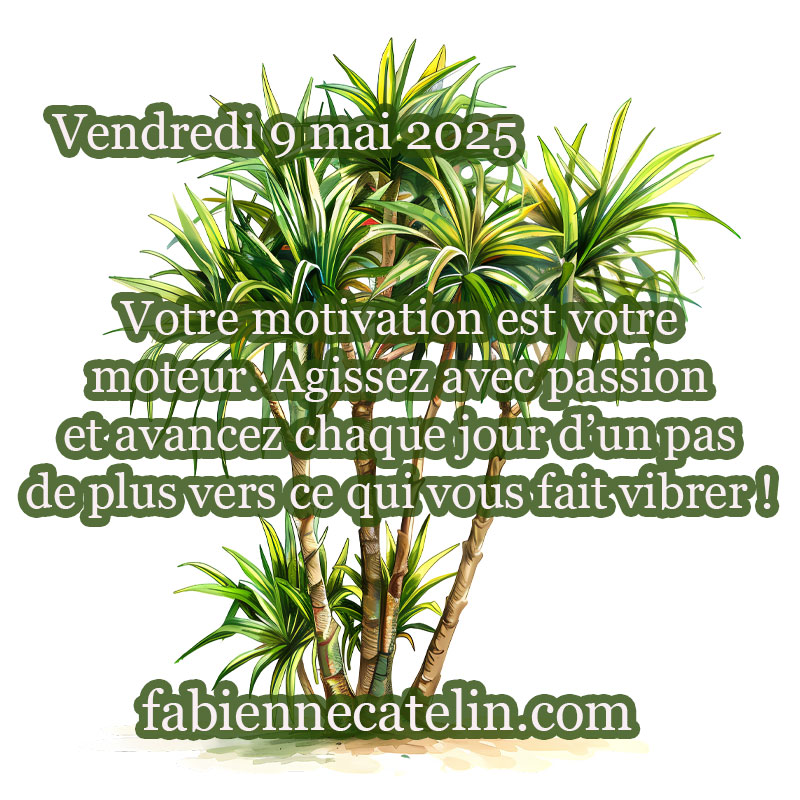 5 9 mai 2025