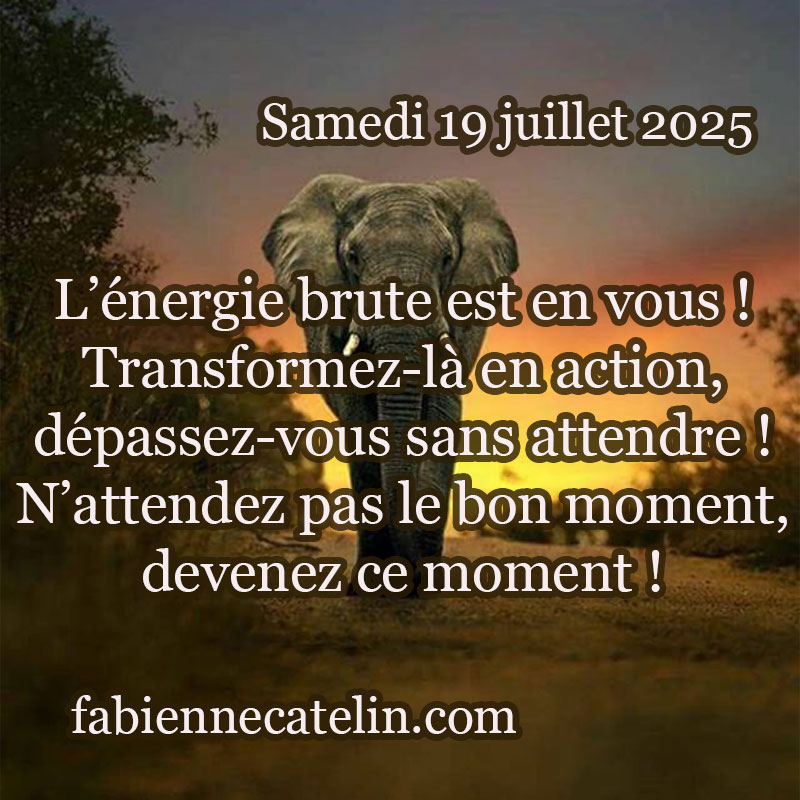 6 19 juillet 2025