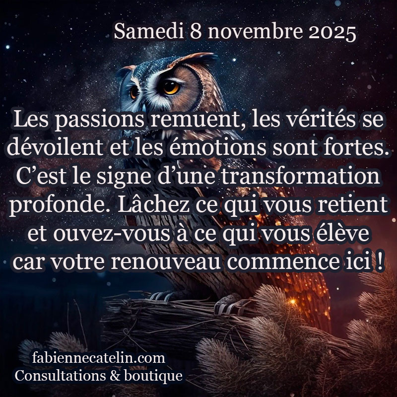 6 8 novembre 2025