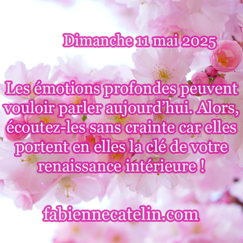 7 11 mai 2025