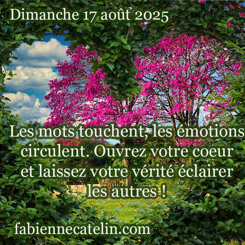 7 17 aout 2025