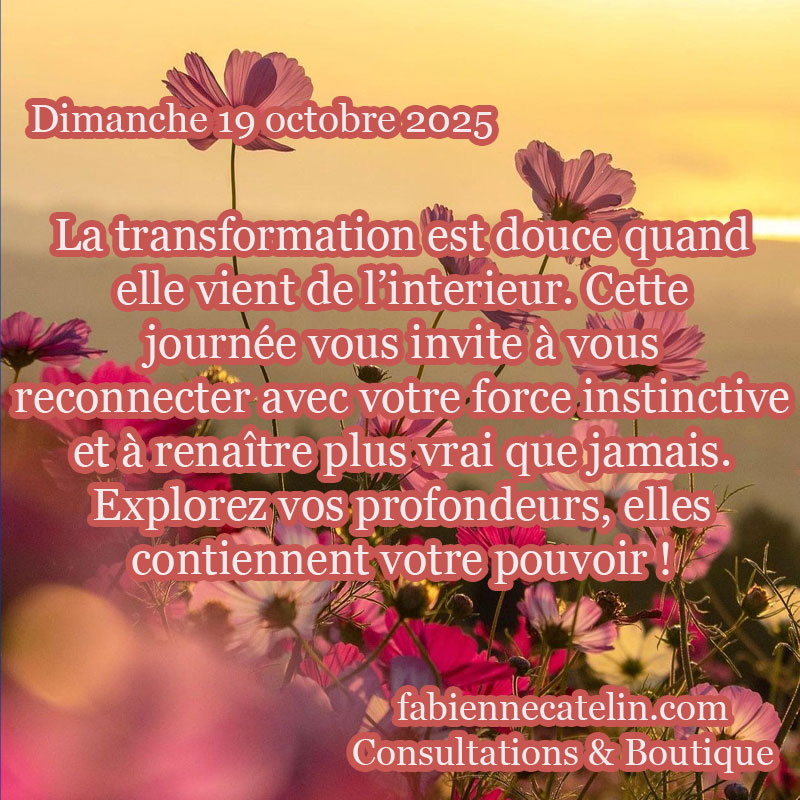 7 19 octobre 2025