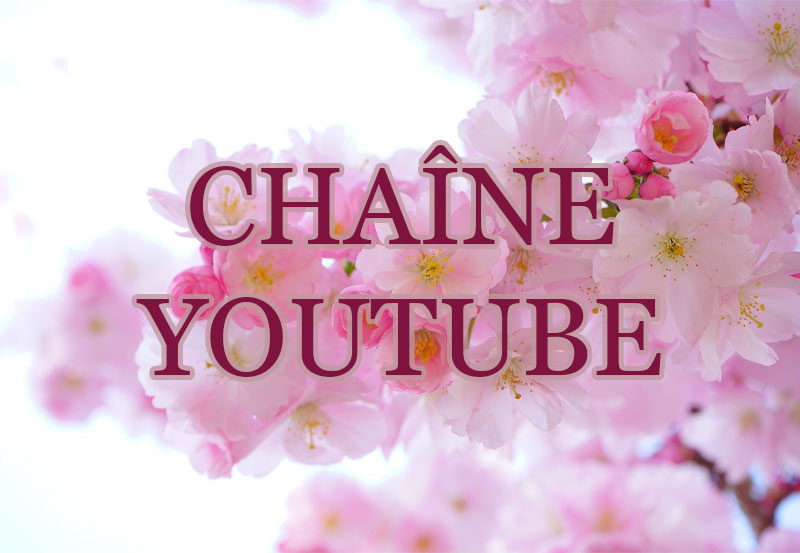 14 chaine youtube