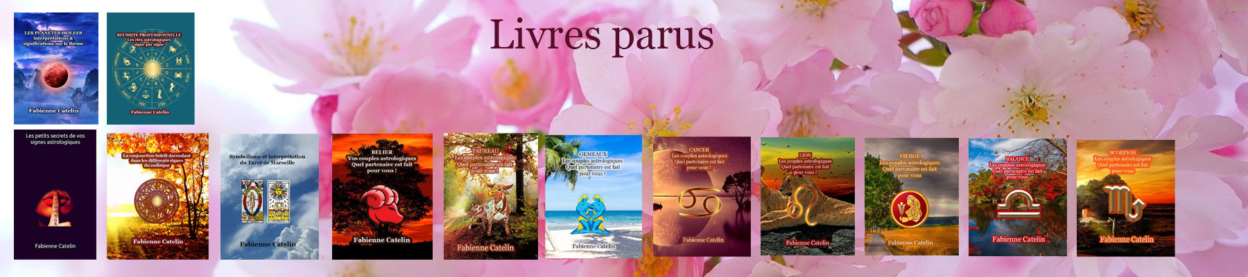 bandeau livre accueil 3