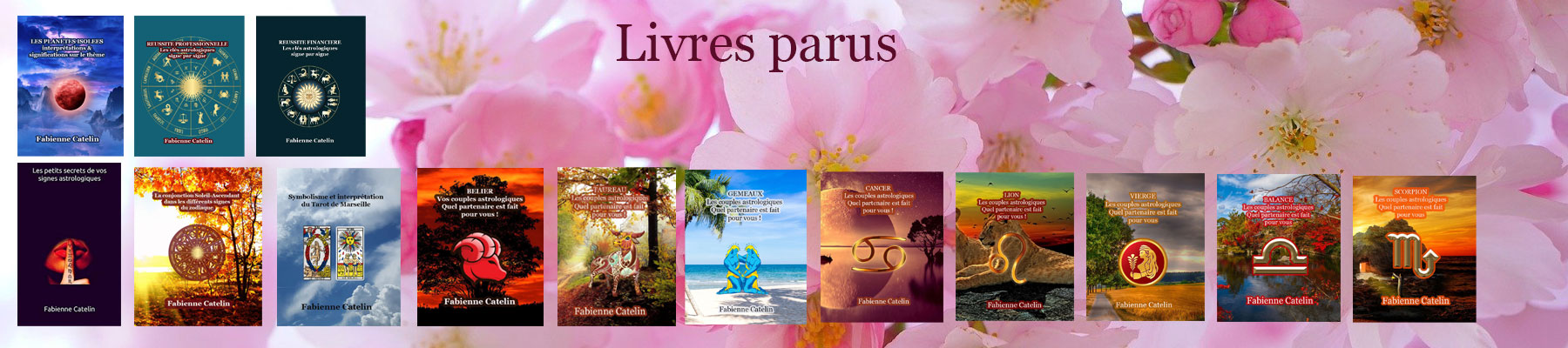 bandeau livre accueil 4