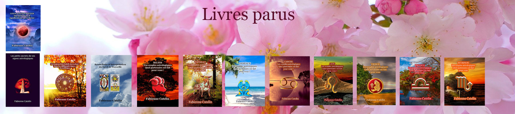 bandeau livre acceuil 2