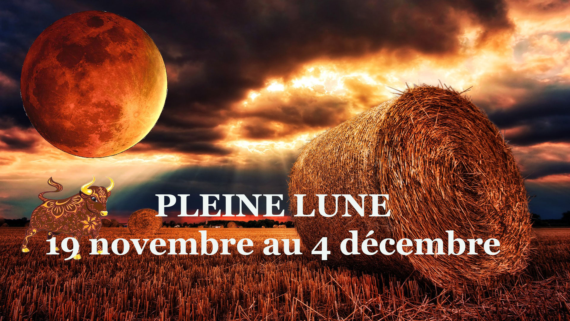 Pleine lune 19 novembre