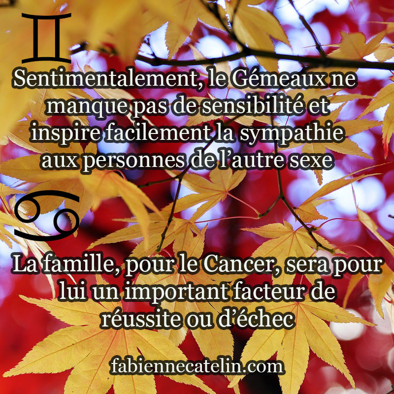 gemeaux cancer