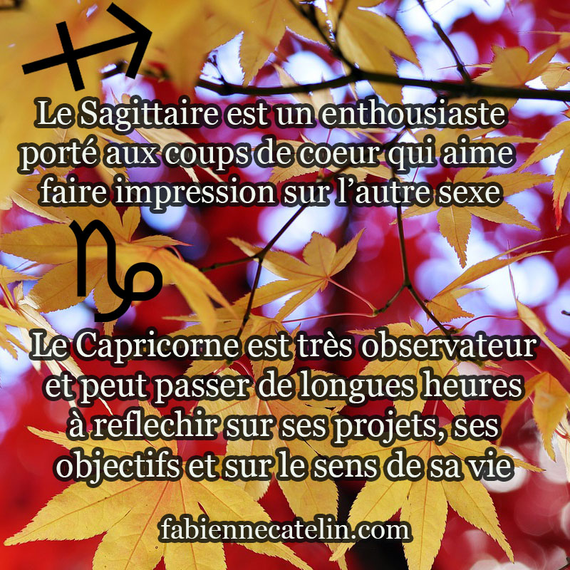 sagittaire et capricorne