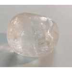 1_1308673888