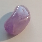 2_1830061090