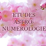 astro_numerologie_1911607077