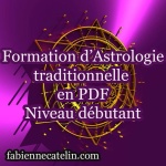 for2_413299028