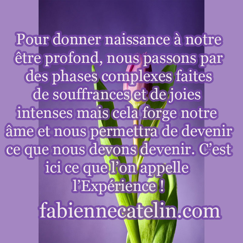 pour le 15 juillet 2023