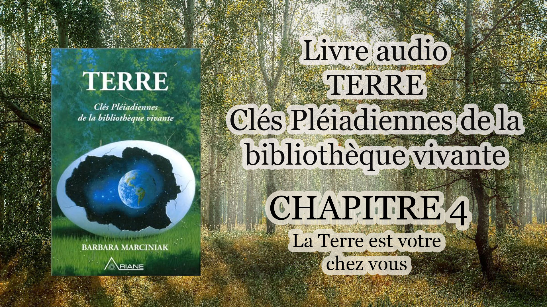 miniature chapitre 4