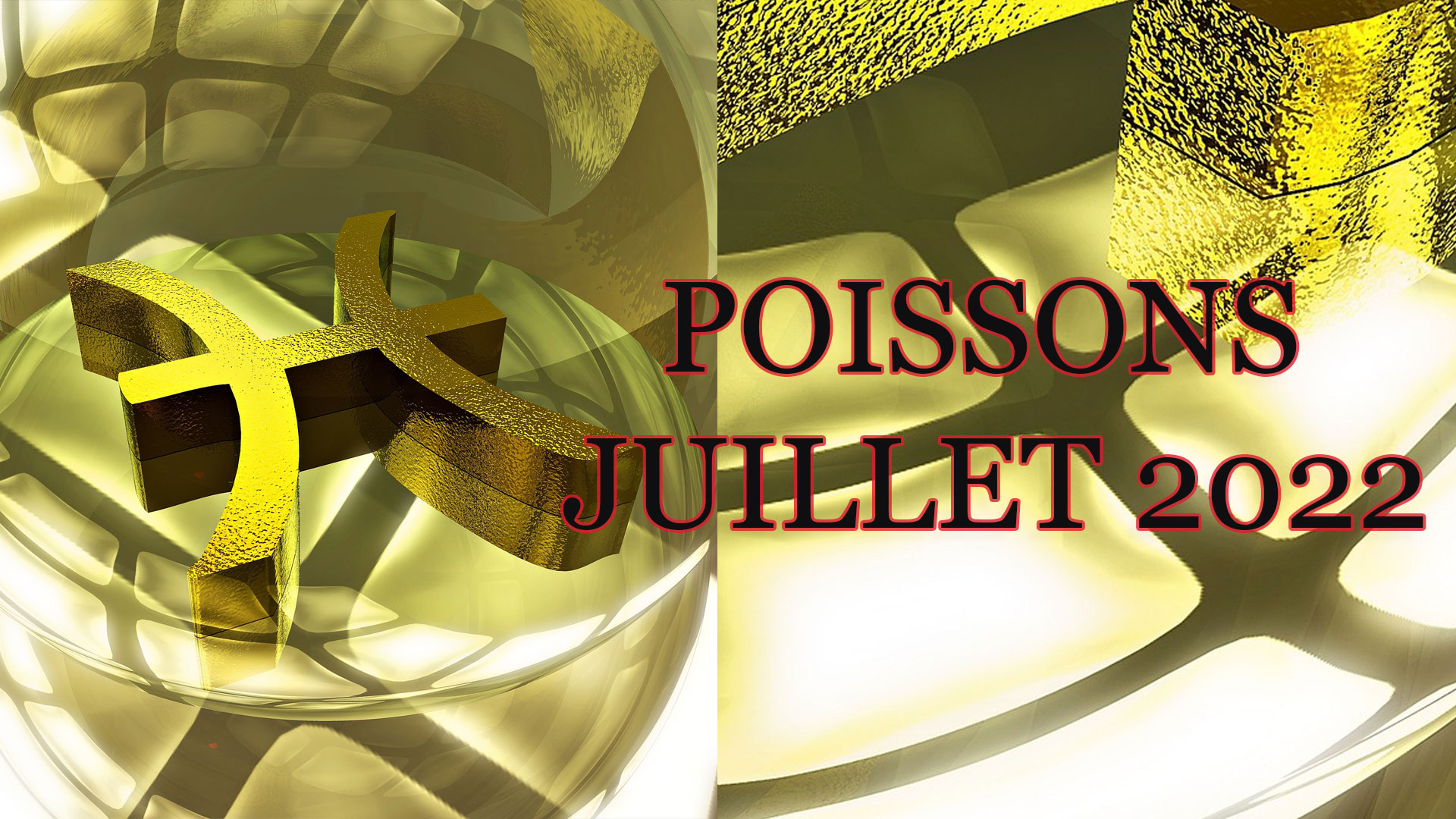 609 poissons