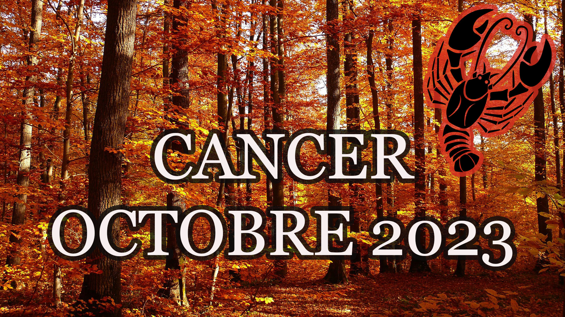 Cancer octobre 2023