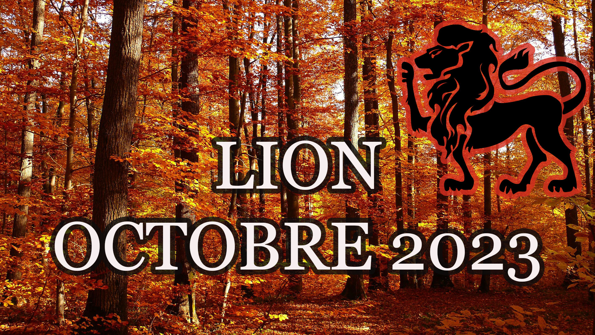 Lion octobre 2023