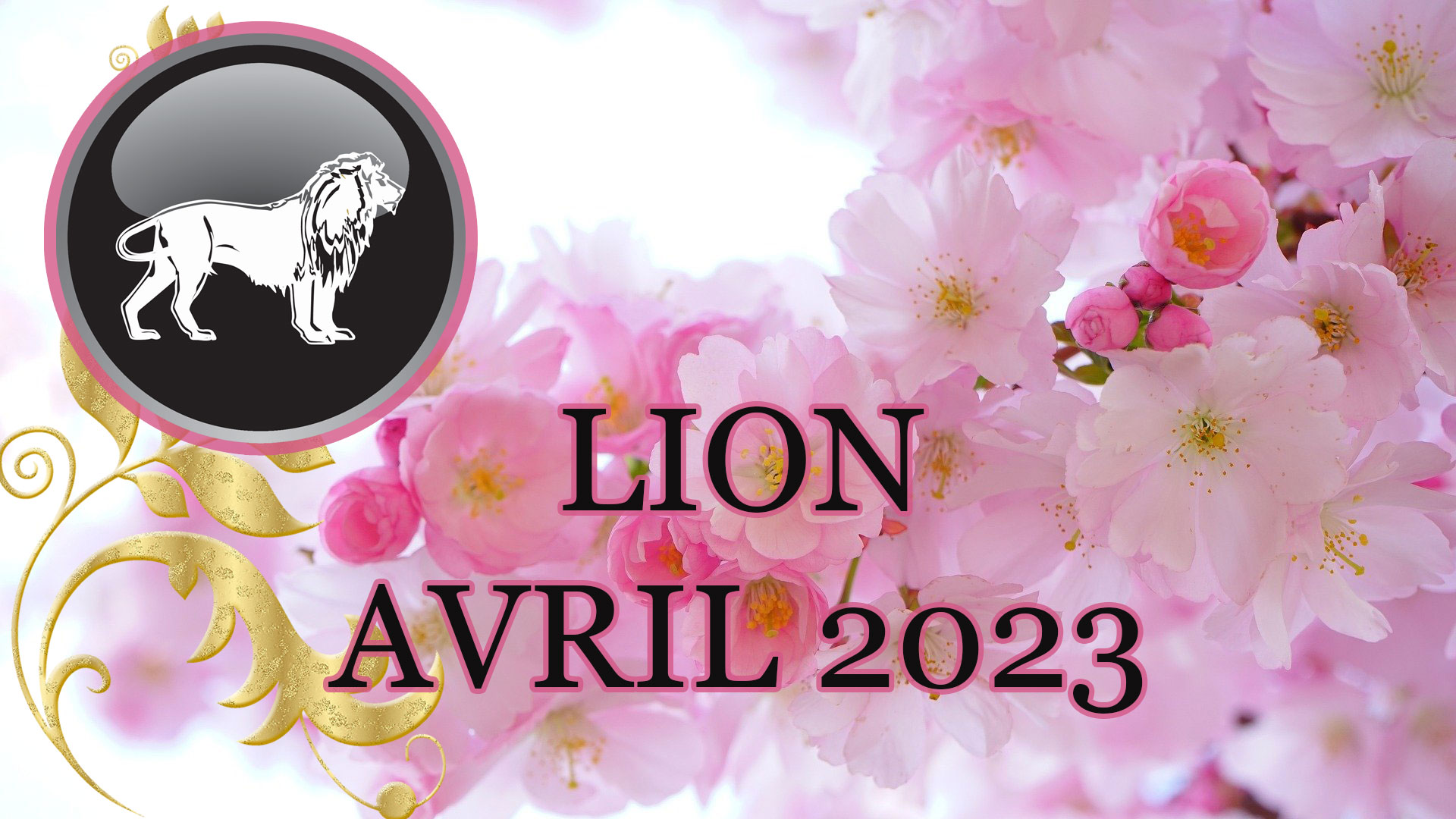 lion avril 2023