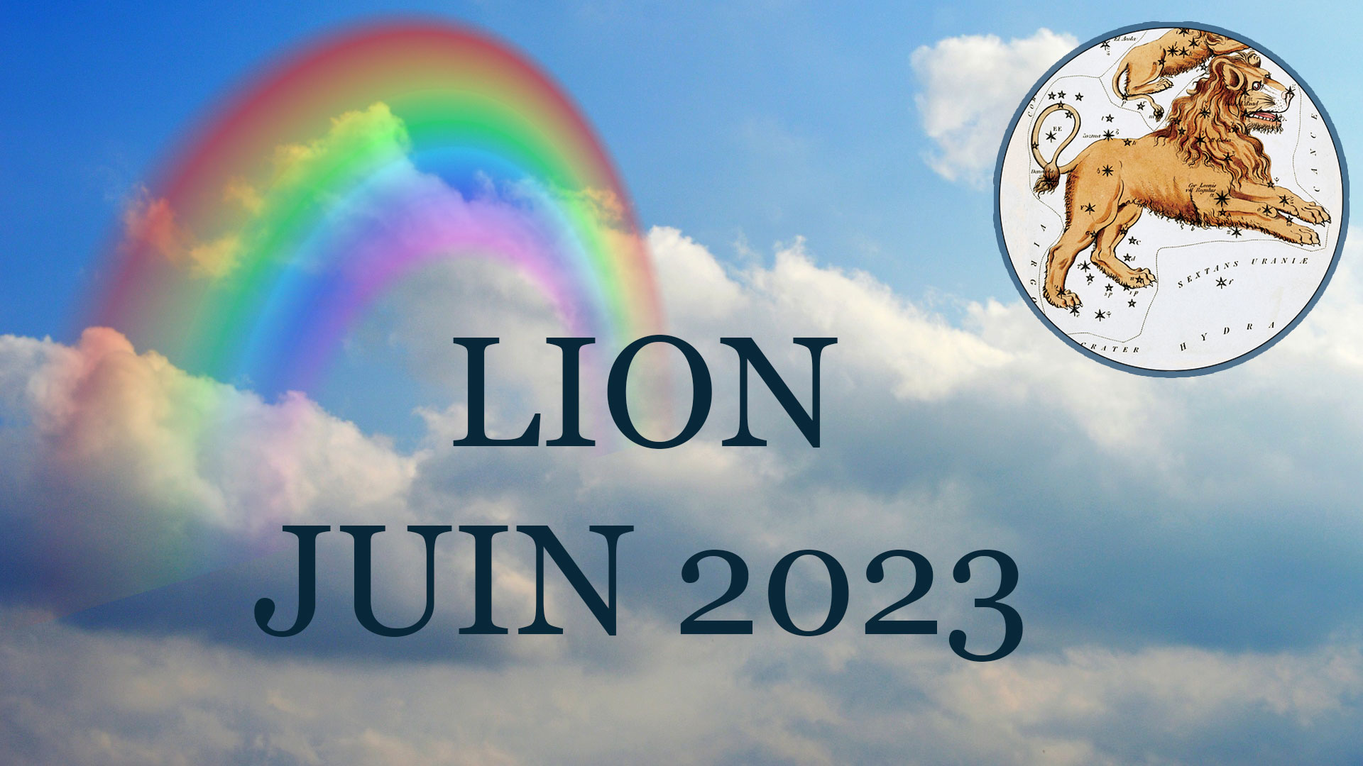 lion juin 2023