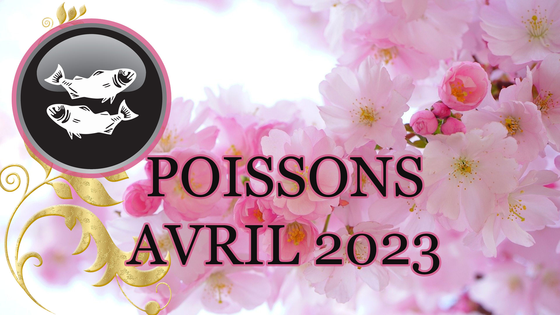 poissons avril 2023