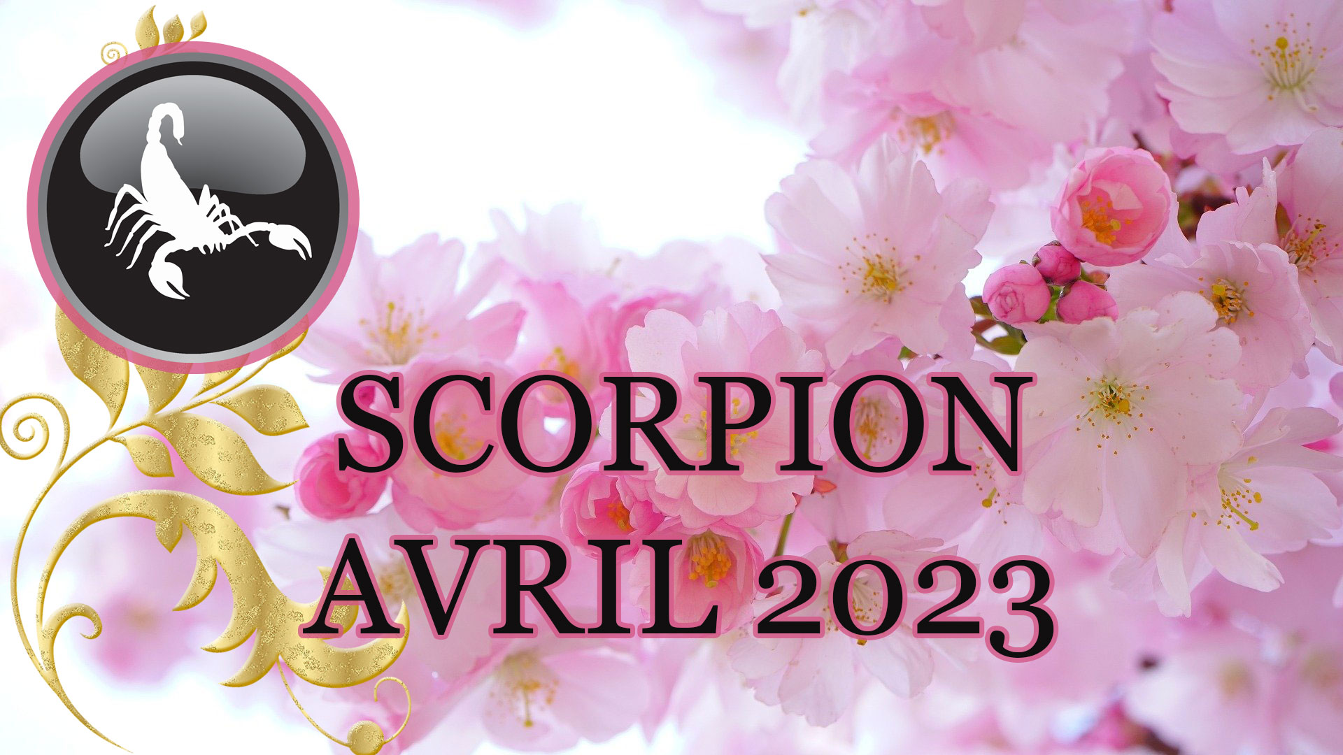scorpion avril 2023
