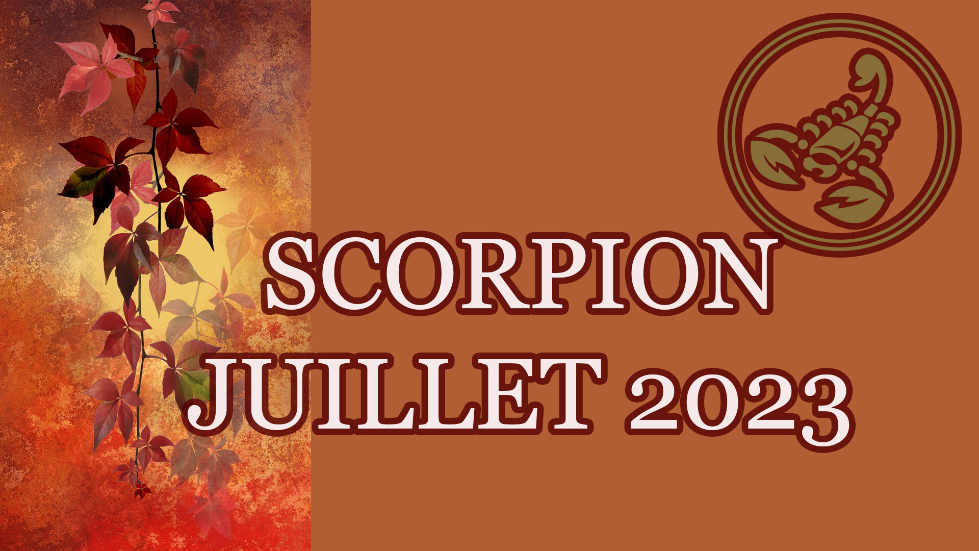 scorpion juillet 2023