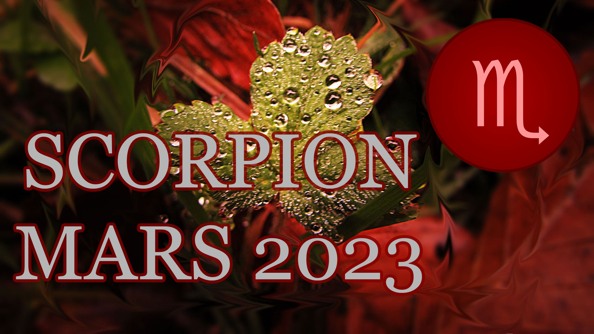 scorpion mars 2023