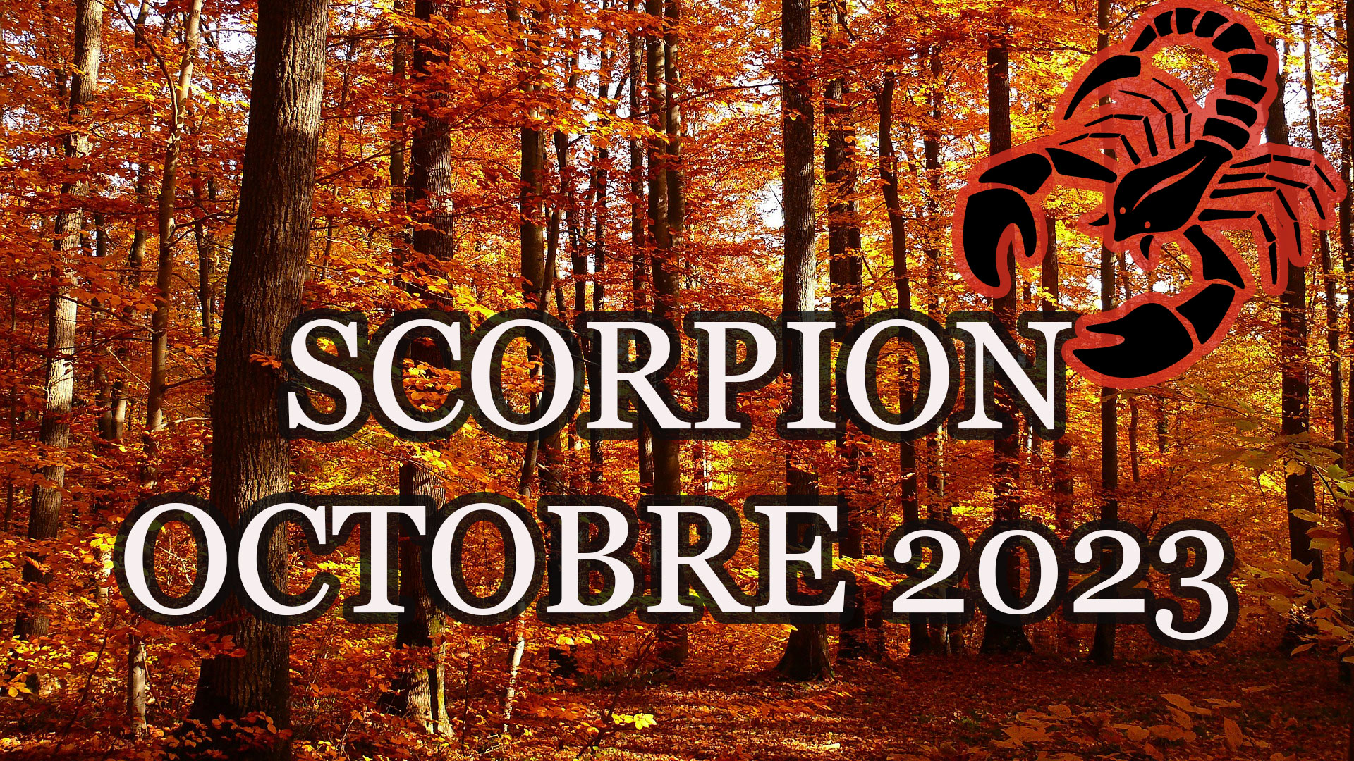scorpion octobre 2023