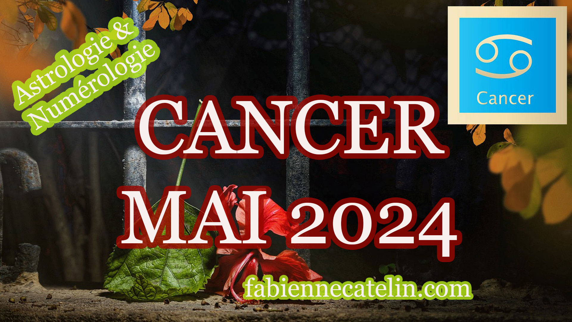cancer mai 2024
