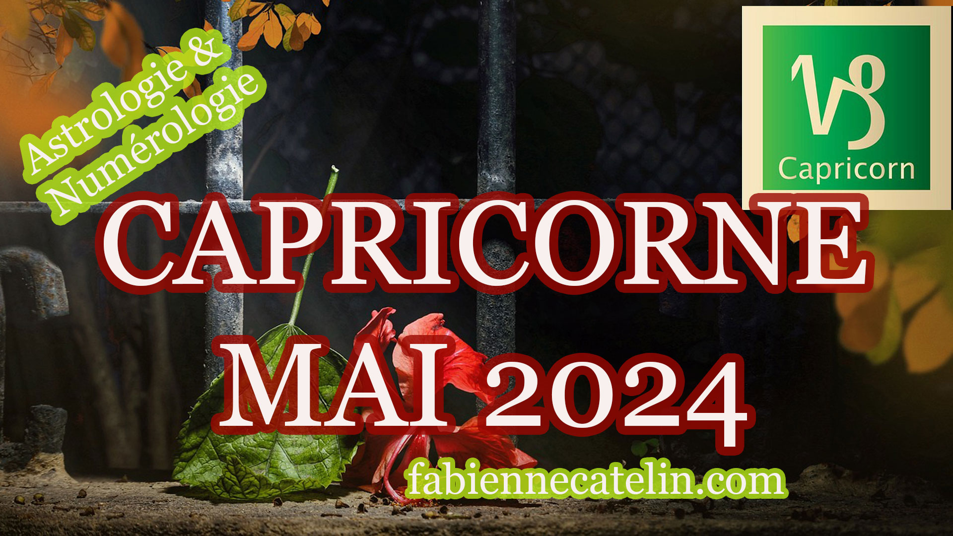 capricorne mai 2024