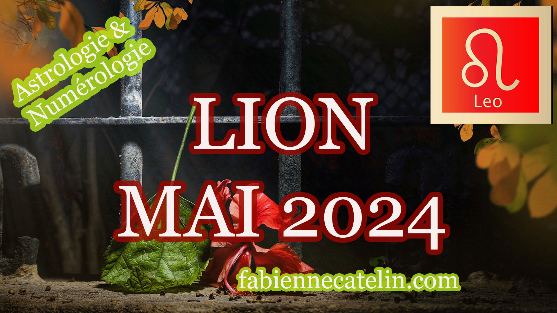 lion mai 2024