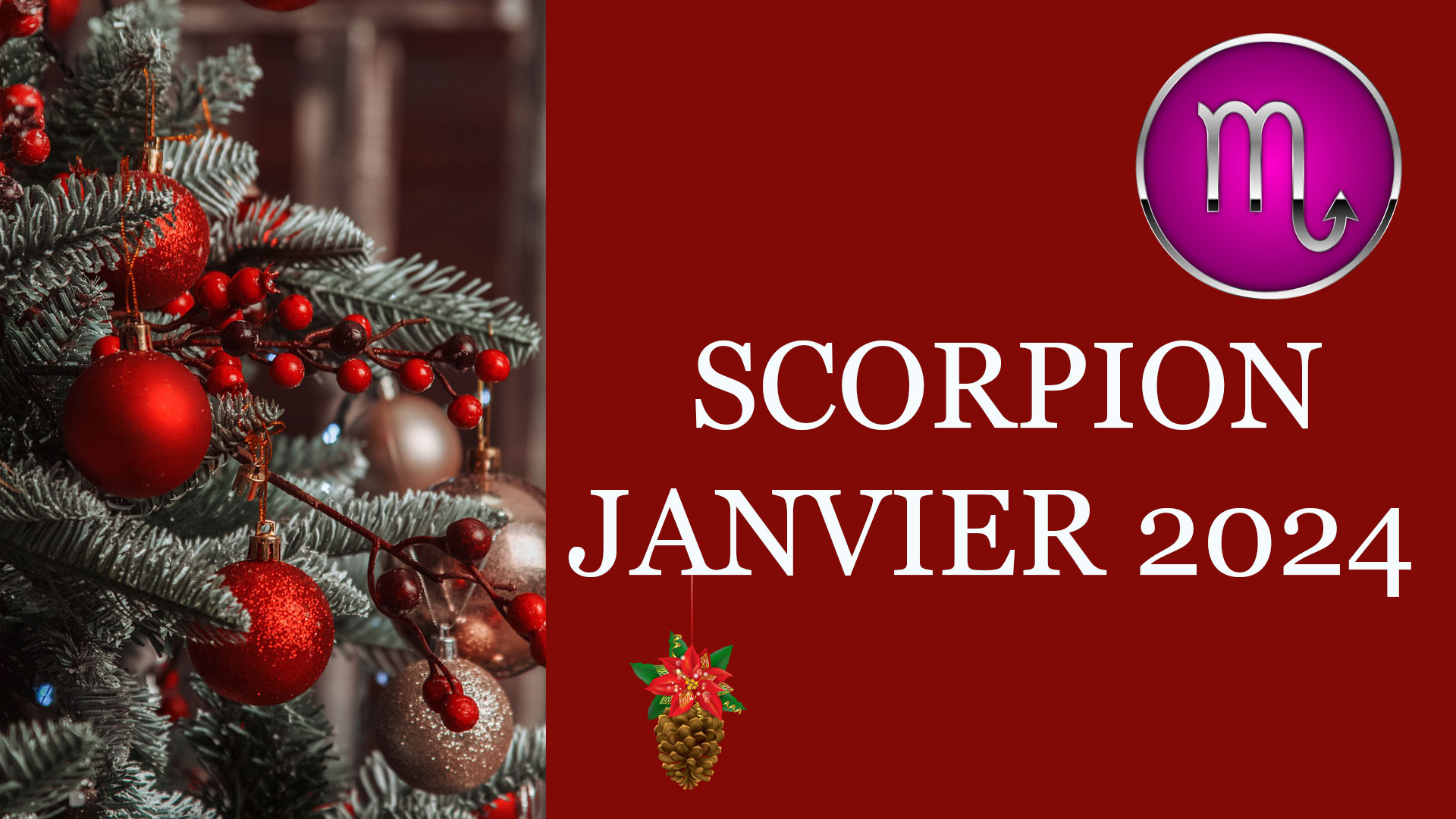 scorpion janvier 2024