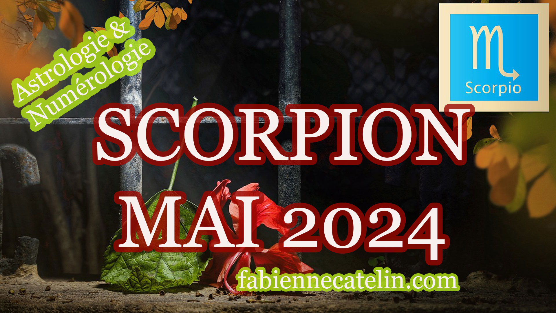 scorpion mai 2024