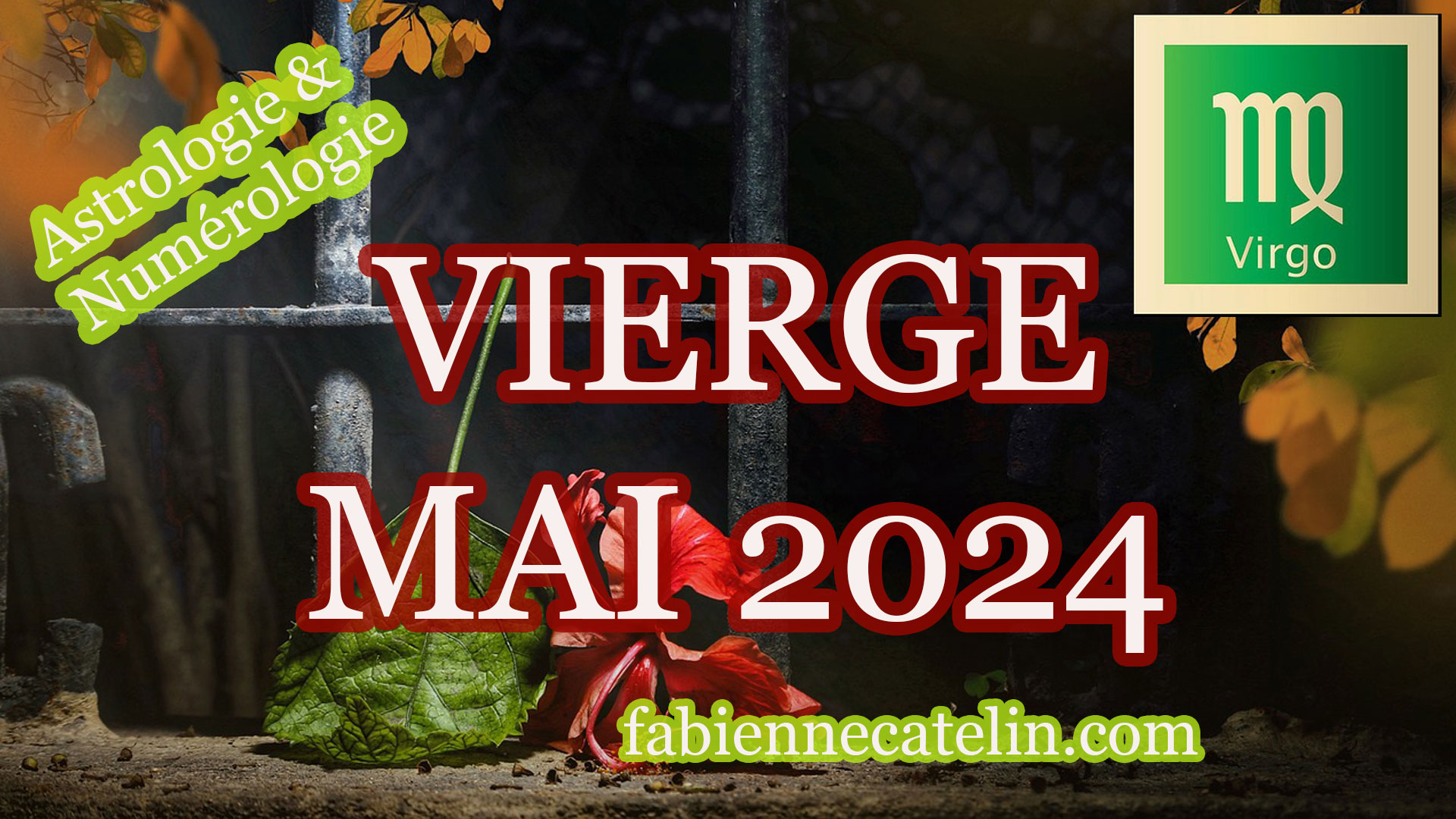 vierge mai 2024